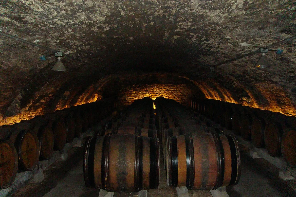 Cave de barricas de carvalho para harmonização enogastronômica em Pinhal