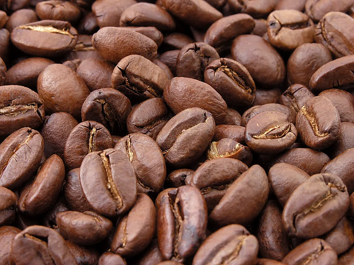 Grãos de café arábica especial recém-torrados em Espírito Santo do Pinhal